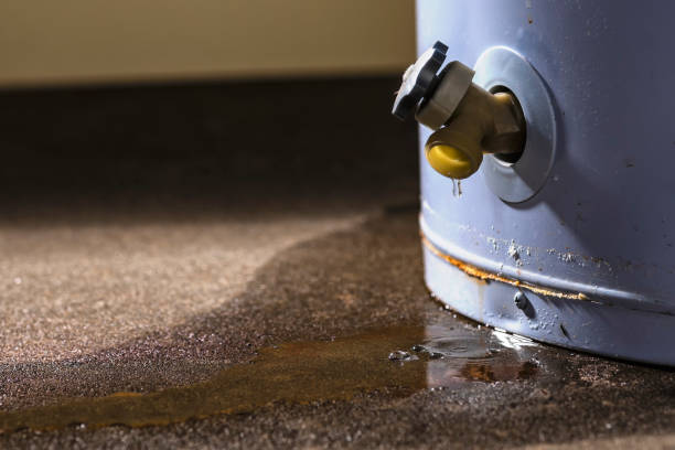 Best Water damage cleanup near me  in Glandorf, OH