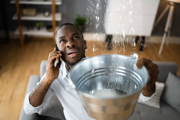 Best 24-hour water damage restoration  in Glandorf, OH