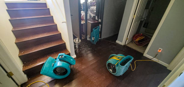 Best Ceiling water damage repair  in Glandorf, OH