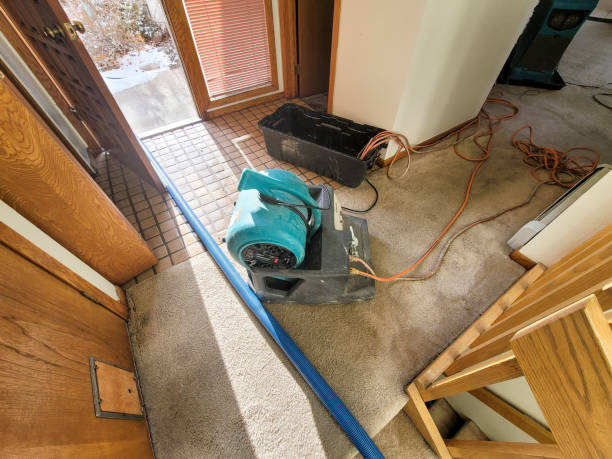 Best 24/7 water damage repair  in Glandorf, OH
