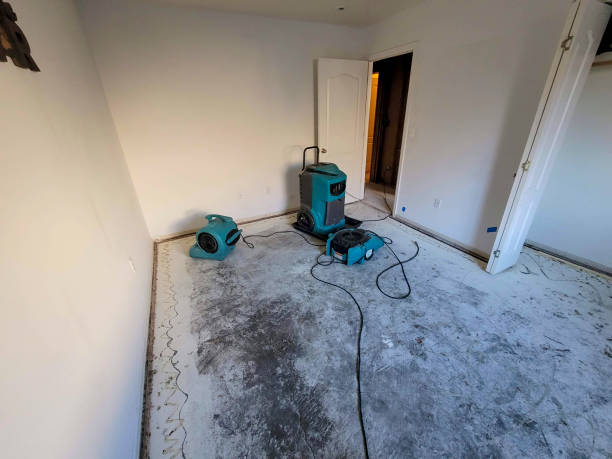 Best Water damage restoration near me  in Glandorf, OH