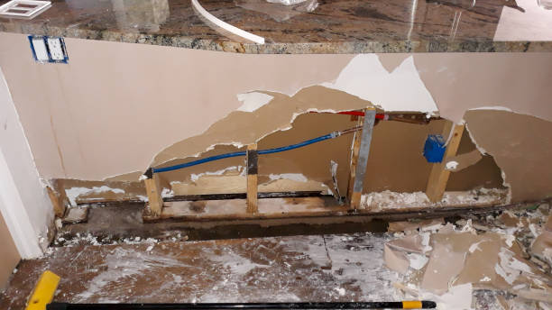 Best Water damage cleanup near me  in Glandorf, OH
