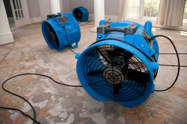 Best Professional water damage repair  in Glandorf, OH
