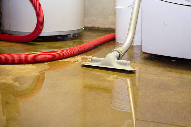 Best Local water damage restoration  in Glandorf, OH