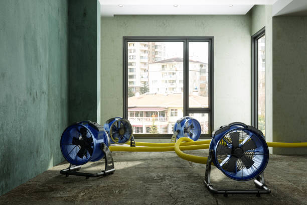Carpet water damage restoration in OH