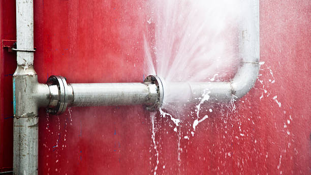 Best Carpet water damage restoration  in Glandorf, OH